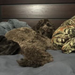e10e32f1-cbb8-4e62-beb5-f8db0a97c0d2.jpg